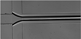 Cette image a un attribut alt vide ; son nom de fichier est 1-1.png