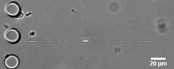 Cette image a un attribut alt vide ; son nom de fichier est 3.png